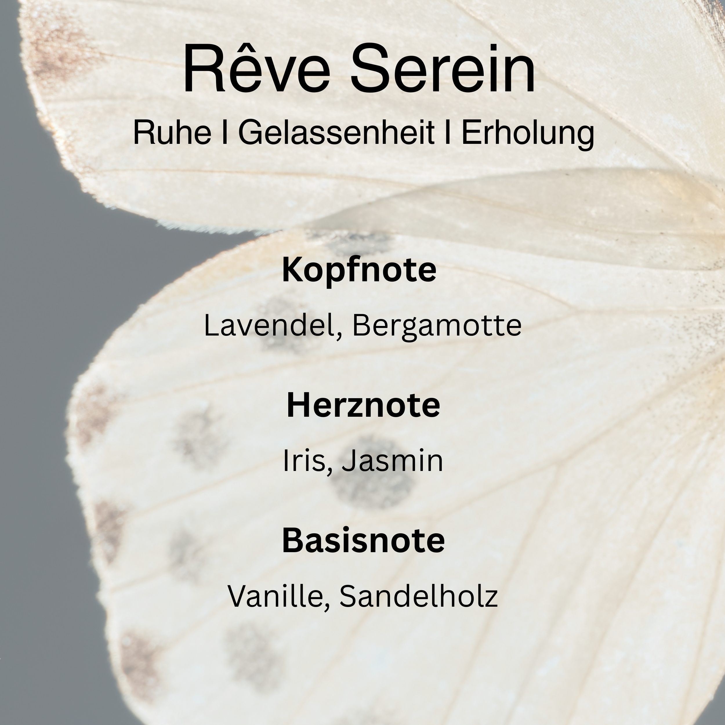 Rêve Serein – Deep Calm