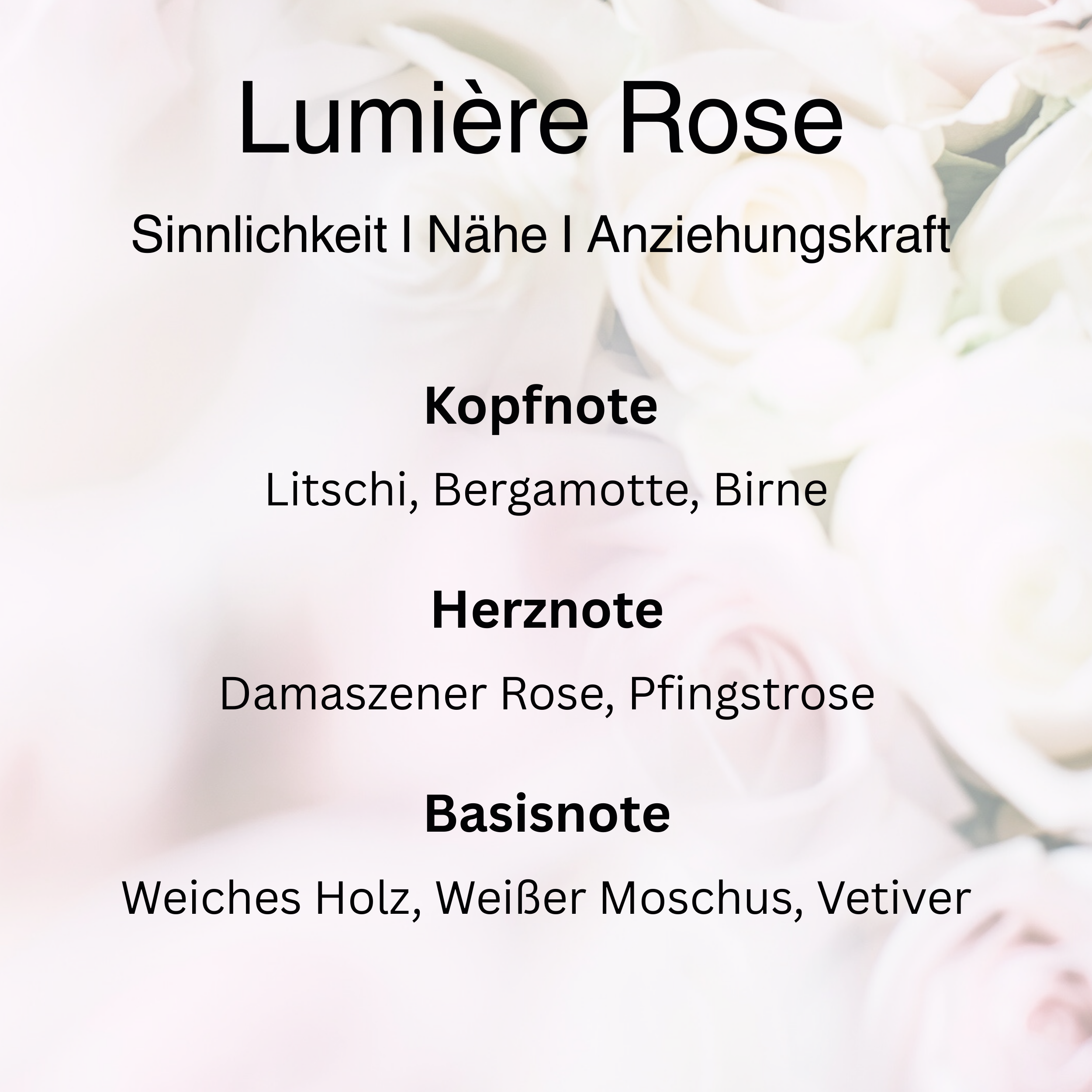Lumière Rose – Attraction